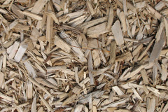 biomass boilers Torbryan